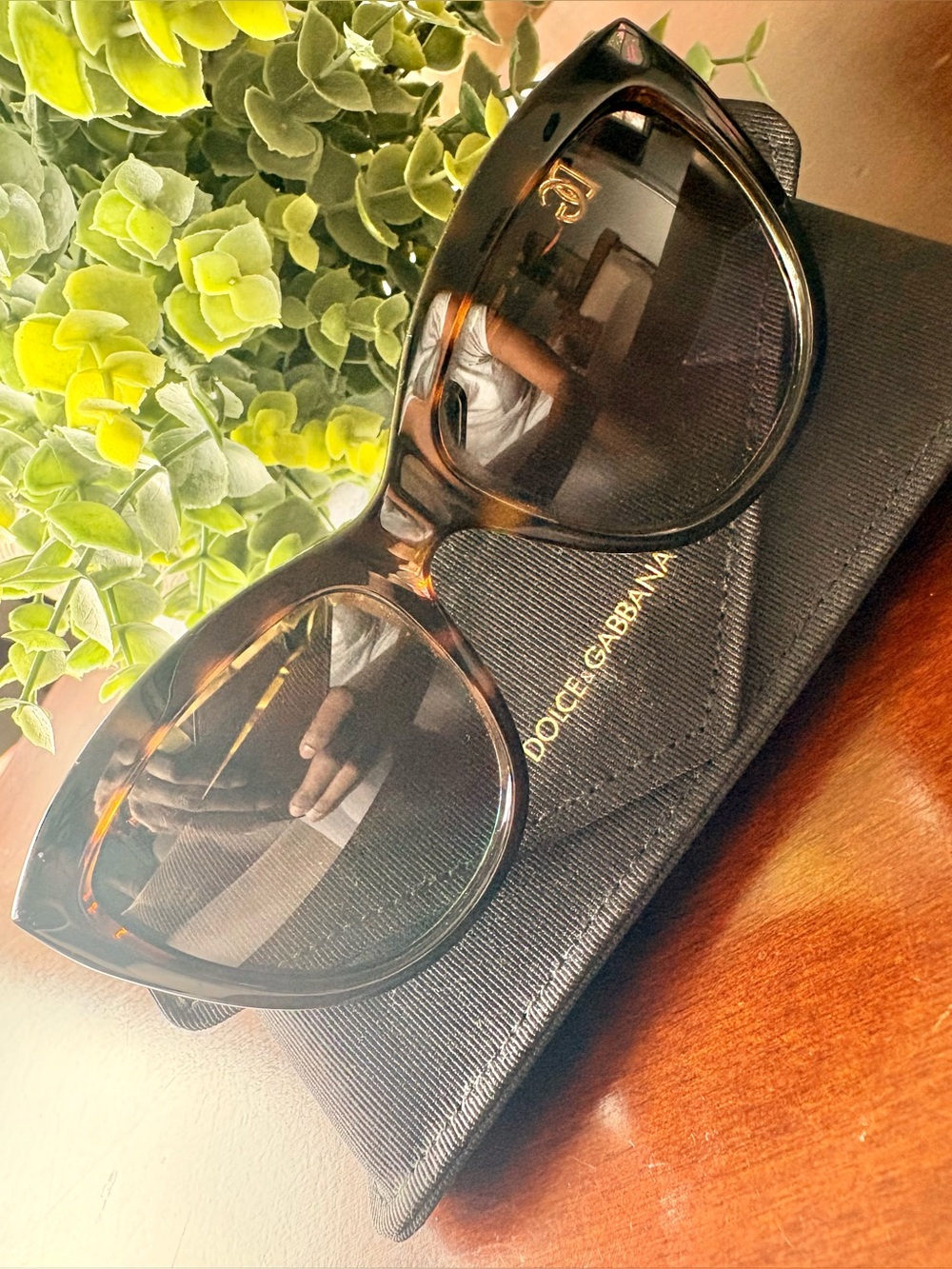 DOLCE & GABBANA - DG 6087 502/T5 Polarized Cat Eye Havana Brown Sunglasses - Picture 5 of 10